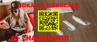 дмт Гай