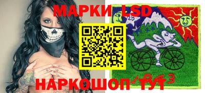 дмт Гай