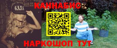 дмт Гай