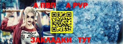 дмт Гай