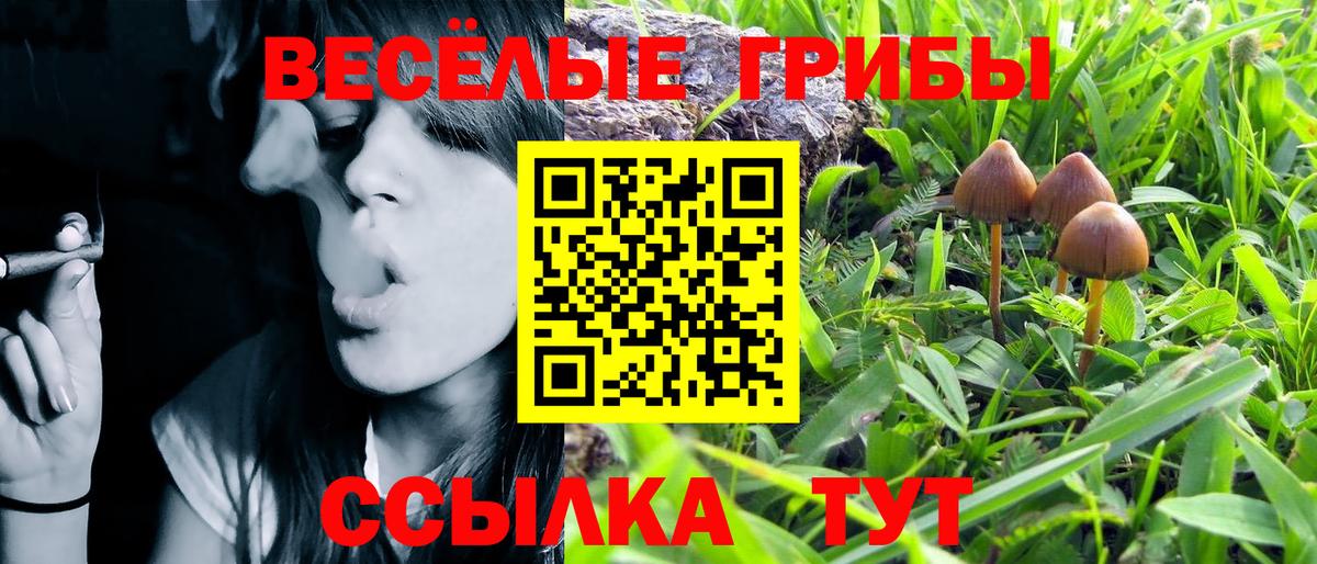 Галлюциногенные грибы ЛСД  Вход с VPN  Дальнегорск  Галлюциногенные грибы Psilocybine cubensis 