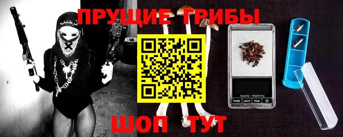 Псилоцибиновые грибы GOLDEN TEACHER Дальнегорск