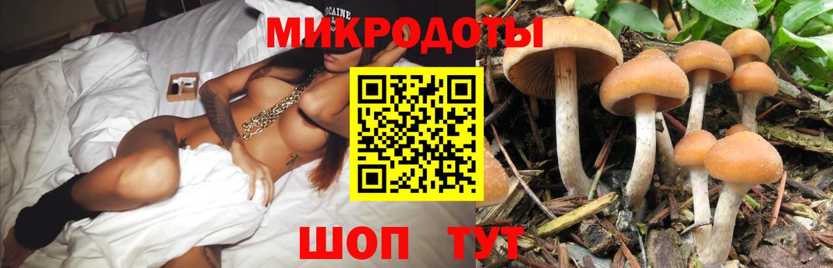 Галлюциногенные грибы прущие грибы  Галлюциногенные грибы Psilocybine cubensis  Дальнегорск 